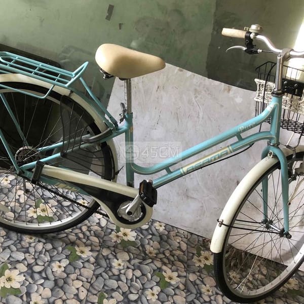 xe đạp asama CLD PU27 - Xe đạp 1
