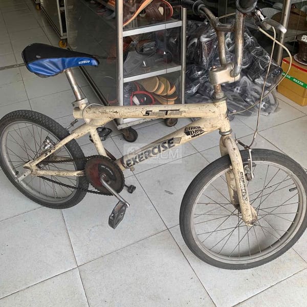 xe đạp  trẻ em cỡ lớn - Xe đạp 0