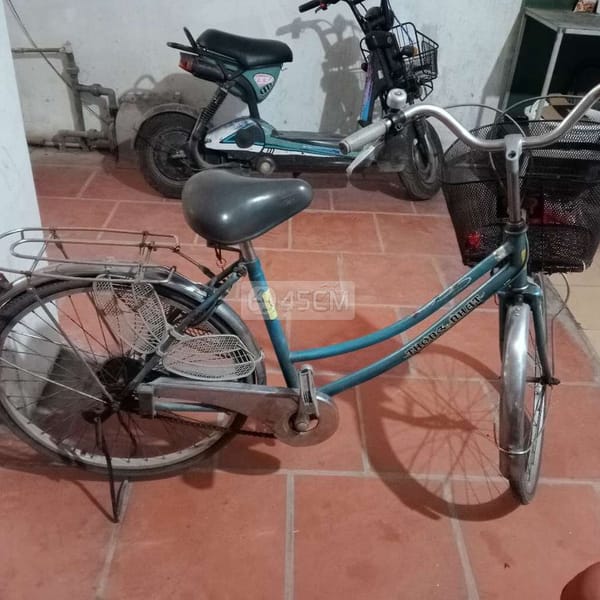 Xe mini thống nhất - Xe đạp 2