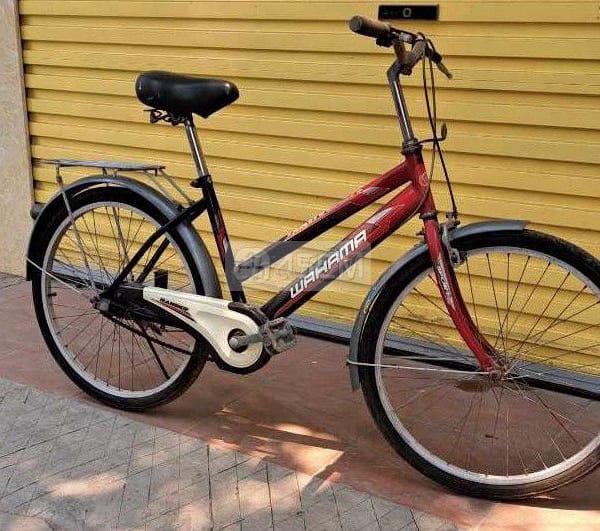 Xe đạp cào cào bánh 24inch - Xe đạp 1