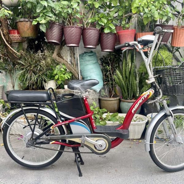 Xe đạp điện asama bánh căm 4 bình đẹp - Xe đạp điện 0