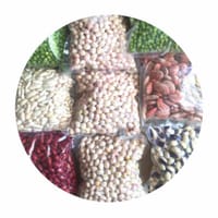 Hạt đậu tươi Đà Lạt - Sự lựa chọn hoàn hảo cho chế độ ăn giàu dinh dưỡng - Khác