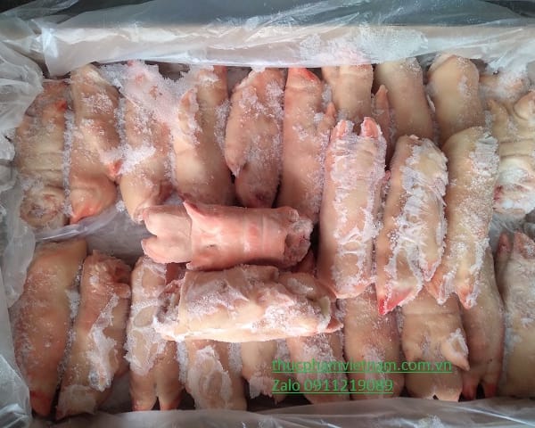 Chân Giò Heo Đông Lạnh Nhập Khẩu - Bảng Giá Thịt Lợn Đông Lạnh - Thịt heo 0